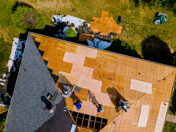 Quick and Trustworthy Emergency Roof Repair Services in Claiborne, LA