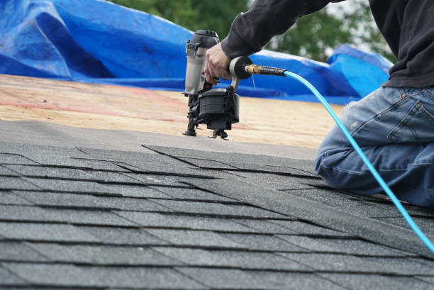 Best Roof Gutter Cleaning  in Ciborne, LA