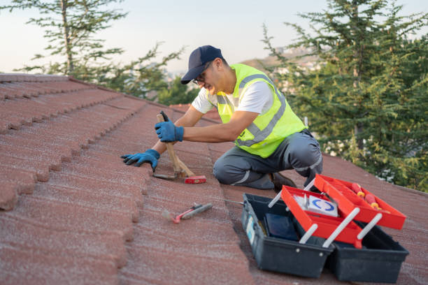 Best Commercial Roof Installation  in Ciborne, LA